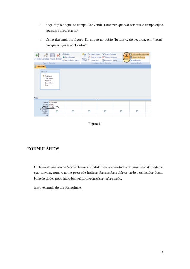 ms access 2007 manual pdf