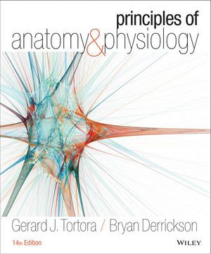 anatomy and physiology for the manual therapies pdf