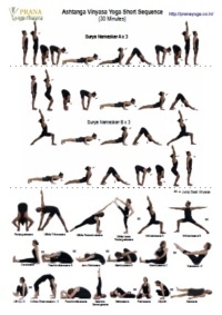 ashtanga yoga the practice manual pdf download
