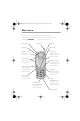 motorola talkabout 250 manual pdf download